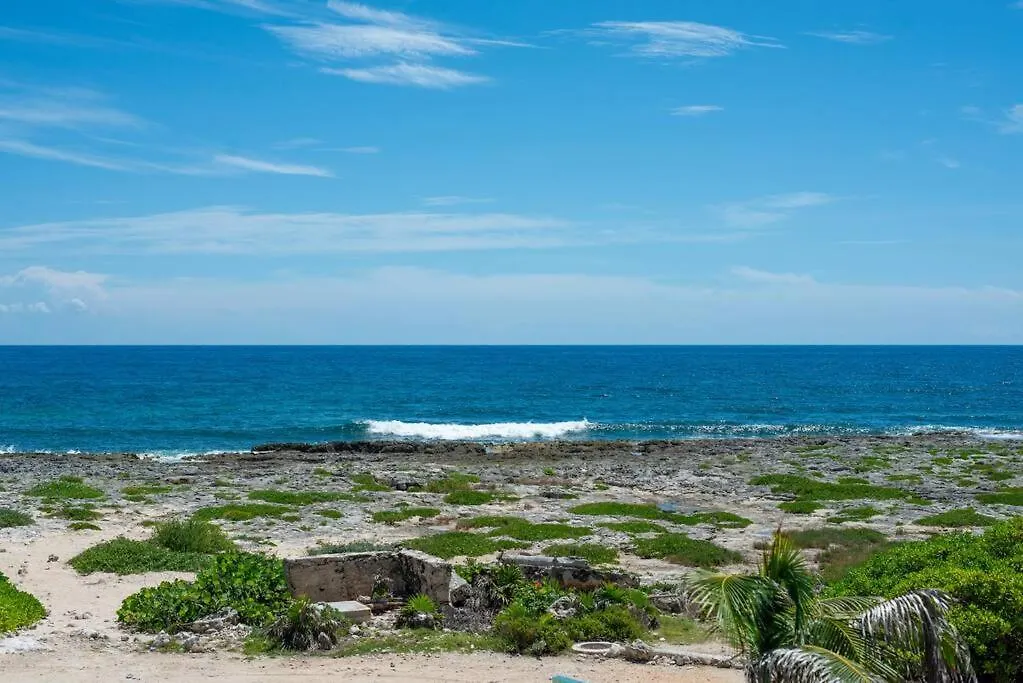 Akumal Amor Caribbean Sea View 2 Min Walk To Beach 0*,